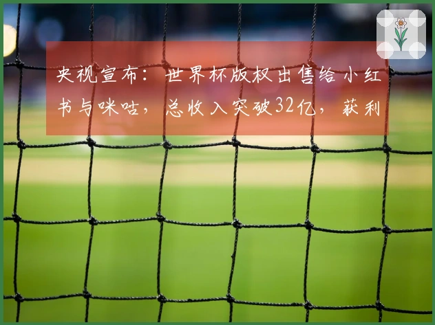 央视宣布：世界杯版权出售给小红书与咪咕，总收入突破32亿，获利丰厚